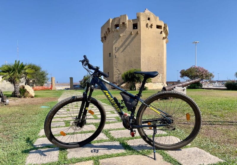 Porto Torres: rent your mountain bike to discover Asinara - Key points / Takeaways