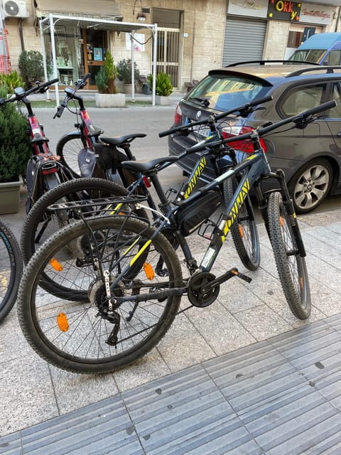 Porto Torres: rent your mountain bike to discover Asinara - Who Will Enjoy This Experience?