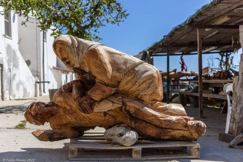 Porto Torres: rent your mountain bike to discover Asinara - Final Thoughts: Is This the Right Choice for You?