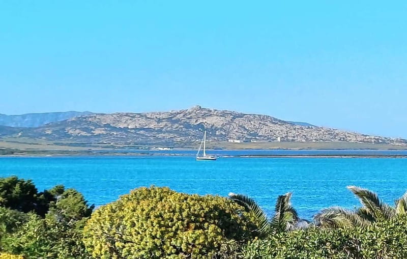 Porto Torres & Stintino: Romantic Experience Sail at Sunrise - Experiencing Sardinia’s Coast From a Different Angle