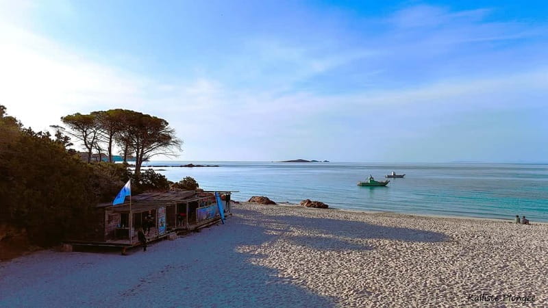 Porto-Vecchio: beginner diving in the Cerbicale Islands in the reserve - Frequently Asked Questions