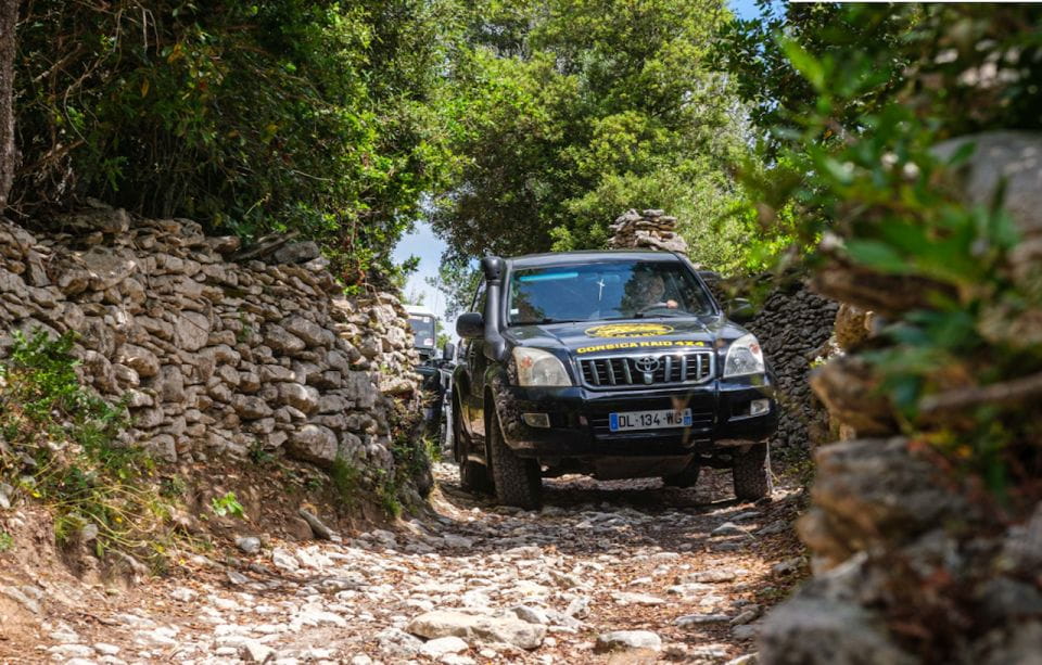 Porto Vecchio: Cuscionu Plateau & Alta Rocca 4x4 Tour - Savoring the Local Culinary Delights