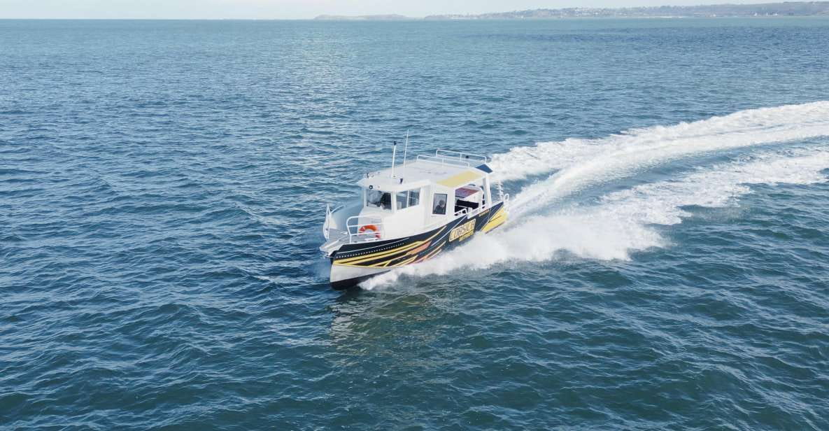 Porto Vecchio: Relaxing Day Excursion on The Santa Maria - Tour Highlights