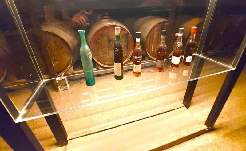 Porto: Wine Tastings (Green Wine) & Lunch & Porto Old Tour - Nature’s Quiet Beauty at the Quinta Gardens