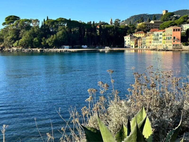 Portofino and Santa Margherita from Genoa with local driver - Final Thoughts: Is This Tour Right for You?