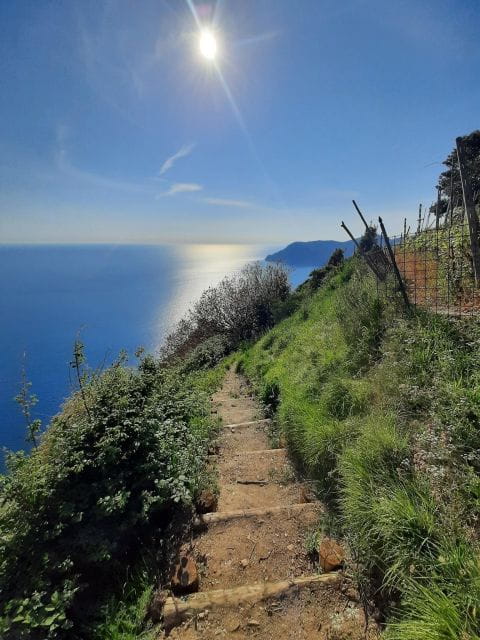 Portofino: Guided Mountain Hike with Ice Cream - Exploring Portofino’s Mountain Trails: What to Expect