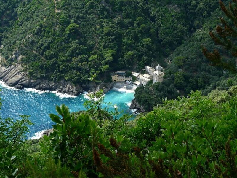 Portofino Park Trekking- Discover San Fruttuoso Bay - Who This Tour Suits Best