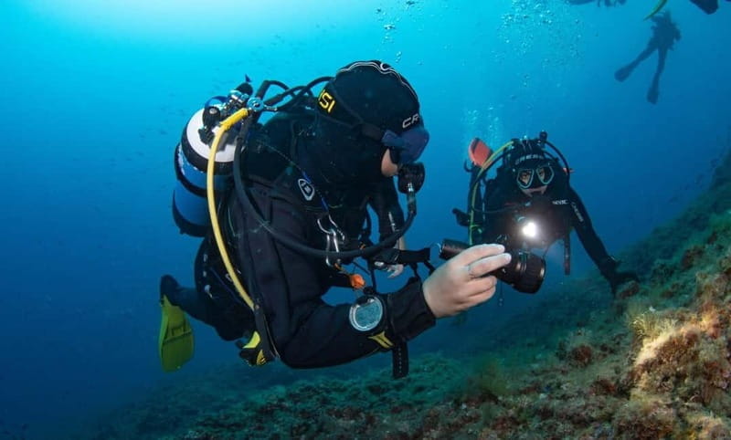 Portofino: scuba diving from Genoa - Final Thoughts: Is This Experience Right for You?