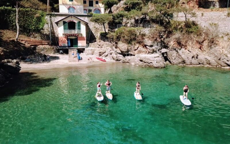Portofino Stand Up Paddleboard Experience - Practical Tips for Future Participants