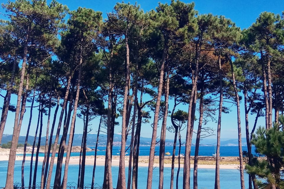 Portonovo: Ferry to Cies Islands & Rodas Beach - Participant Guidelines