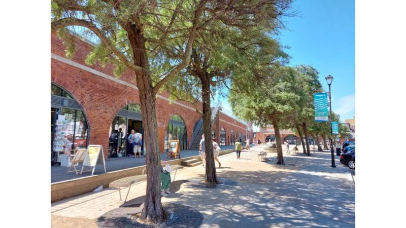 Portsmouth: Portsmouth of the Past Walking Tour - Who Will Love This Tour?