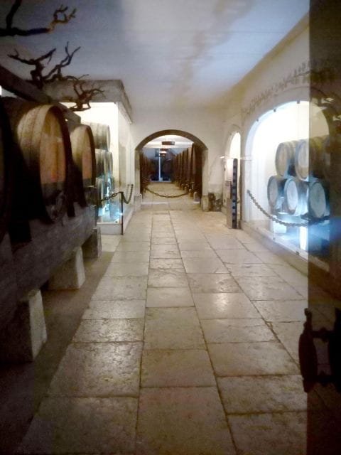 Portugal Arrábida Tour, the Winery and the Mountain Charms - Inclusions and Amenities