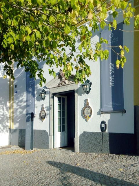 Portugal Arrábida Tour, the Winery and the Mountain Charms - Participant Information and Recommendations