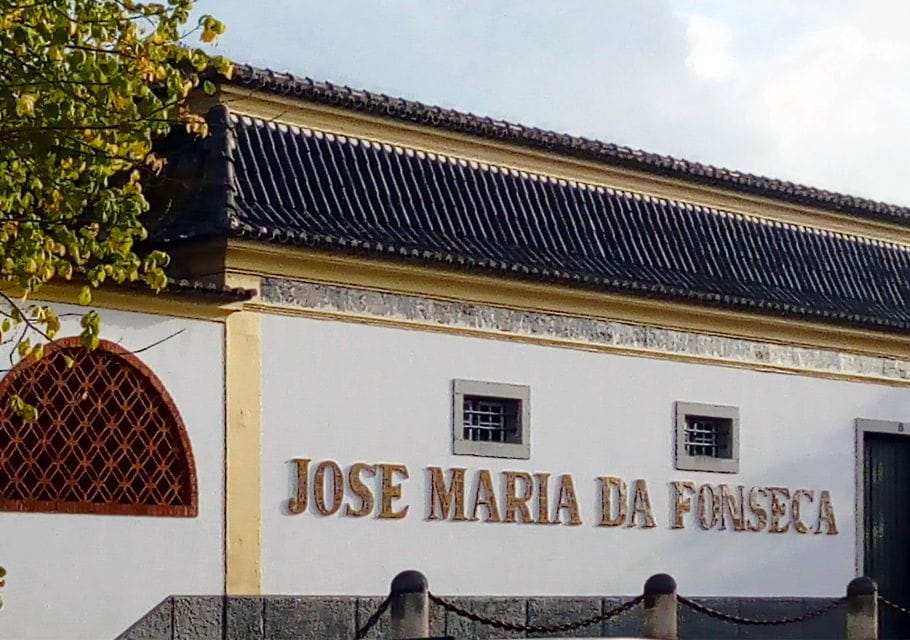 Portugal Arrábida Tour, the Winery and the Mountain Charms - Winery History and Legacy