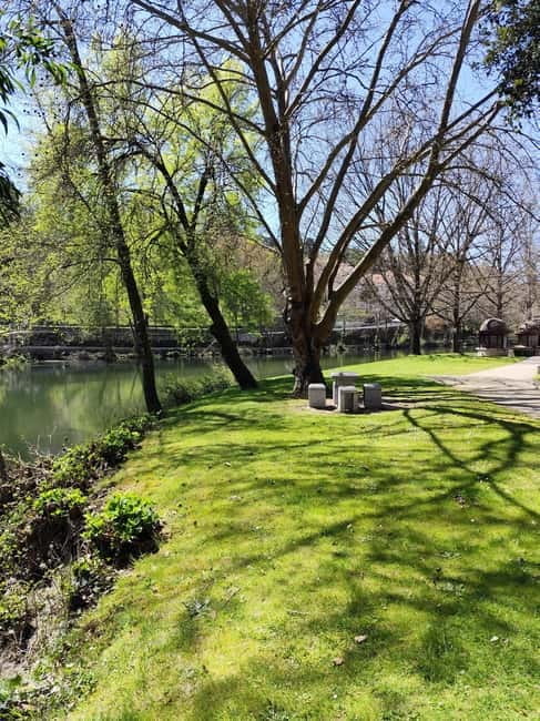 Portugal: Lafões Region Day Tour with Food and Wine Tasting - Discovering Portugal’s Hidden Gem: Lafões Day Tour