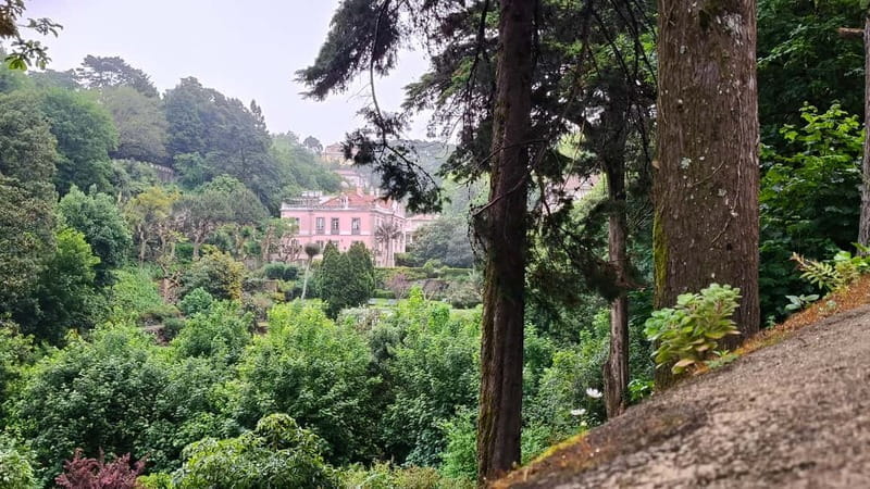 Portugal: Private 10-Day Van Tour - Final Thoughts: Is This Tour Right for You?