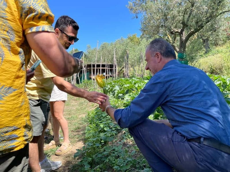 Positano: Cooking class and tasting with a view of the Galli Islands - Price and Logistics: Is It Worth It?