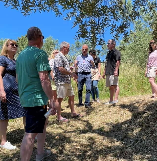 Positano: Cooking class and tasting with a view of the Galli Islands - Final Thoughts: Who Should Consider This?