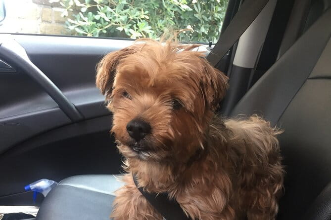 Post Cruise Roma Private tour from Civitavecchia - Final Thoughts: Who Should Consider This Tour?