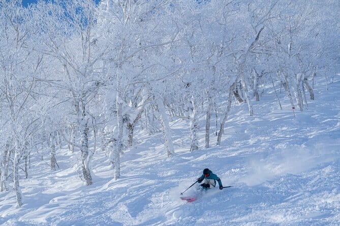 Powder Belt Pass 5 Days Ticket, Brush-Dyeing Experience - Meeting and End Point