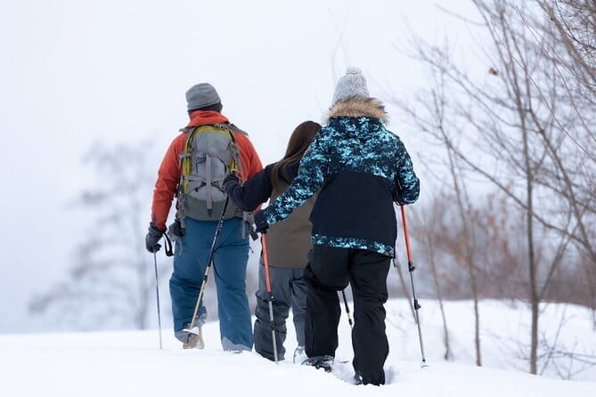 Powder Belt Pass 5 Days Ticket,Snowshoeing, Hot Springs Wagyu BBQ - Key Points