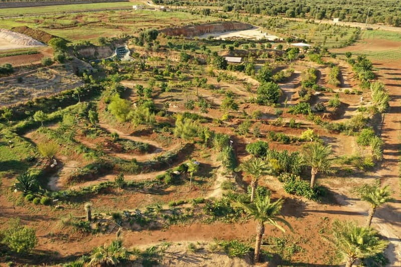 Pozzo Faceto: botanical garden - The Sum Up