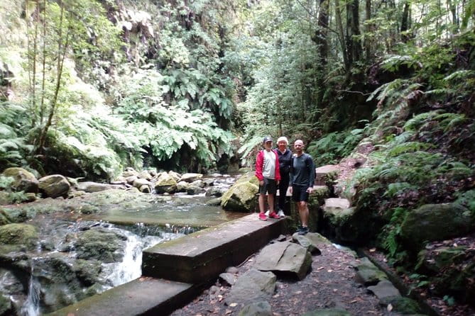 PR18 Levada do Rei with Local Guide - Exploring Madeira’s Natural Wonders on the Levada do Rei