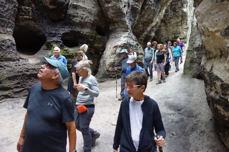 Prague-Dresden One-Way Sightseeing Journey - Transport and Sightseeing