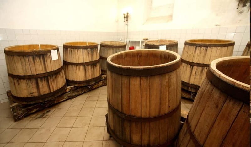 Prague: Dtenice Castle, Brewery, and Medieval Fantasy Show - The Return Journey and Final Impressions