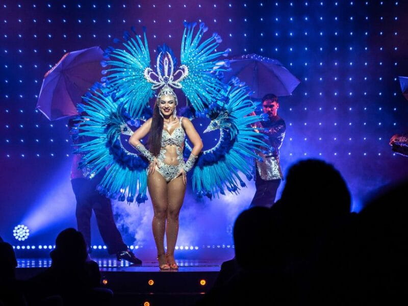 Prague: Evening Czech Cabaret Show at the Hybernia Theater - Key points / Takeaways