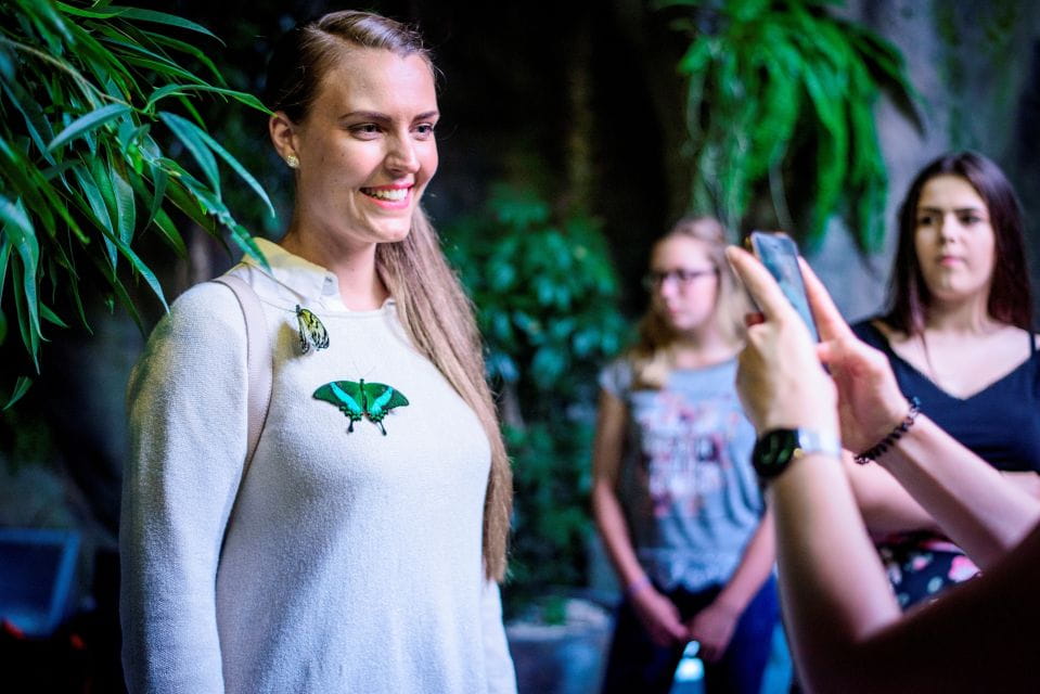 Prague: Papilonia Butterfly House - Experience Highlights