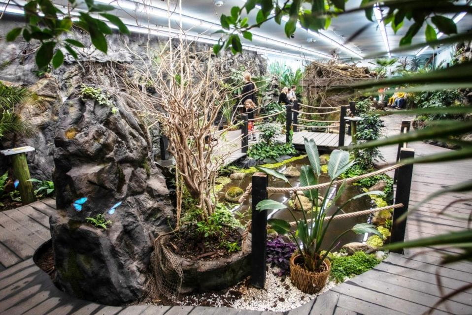 Prague: Papilonia Butterfly House - Recommendations for Families