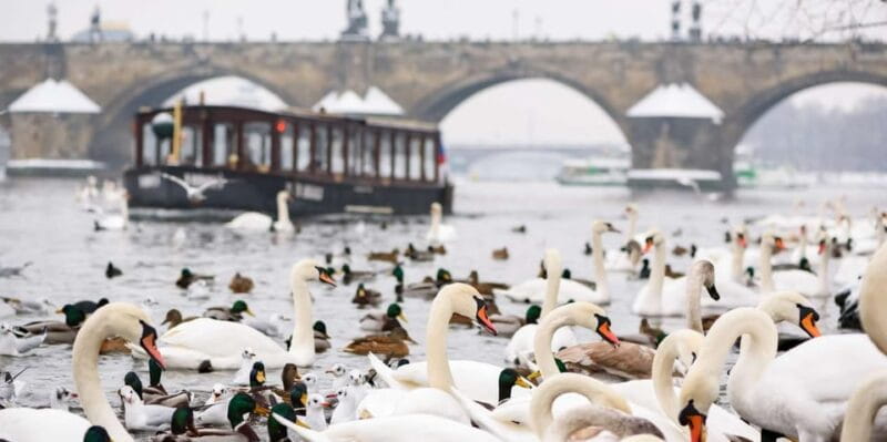Prague: River Cruise, Charles Bridge Museum, & Walking Tour - Who Should Consider This Tour?