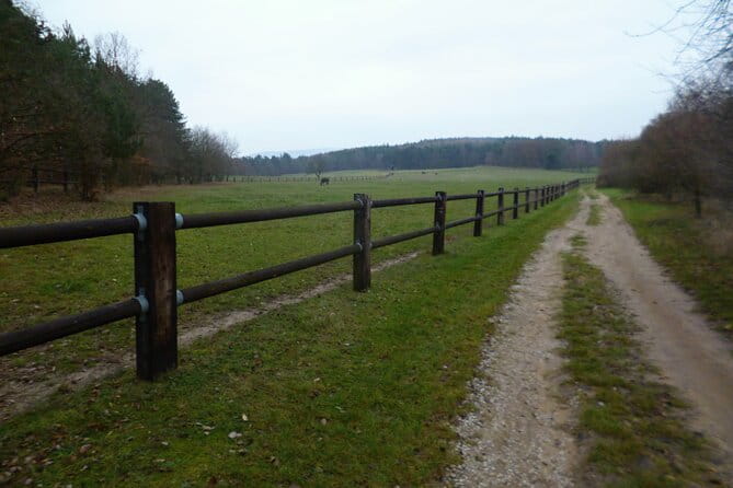 Prague to Karlstejn Trail Running Tour - Key points / Takeaways