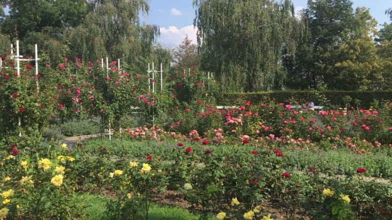 Pragues secrets of famous lovers. Romantic walking tour - Transportation, Timing, and Value