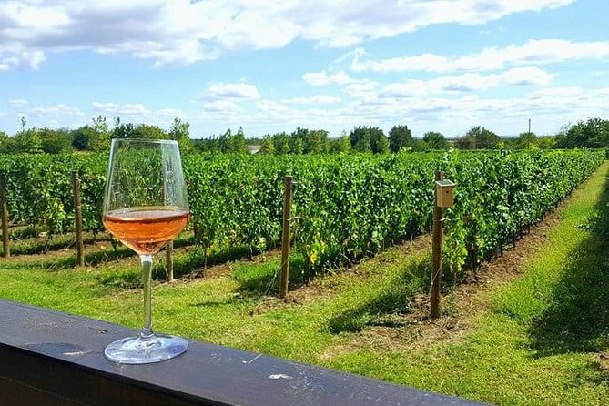 Prahova Valley Wine Tour from Bucharest Small Group - Key Points / Takeaways