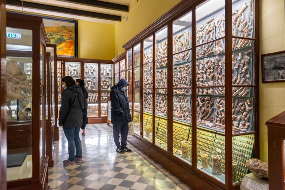 Prehistoric Temples of Malta Tour - Frequently Asked Questions