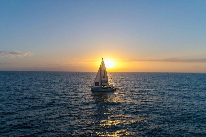 Premium All Inclusive Whale & Dolphin Watching Experience - Snorkeling Opportunities