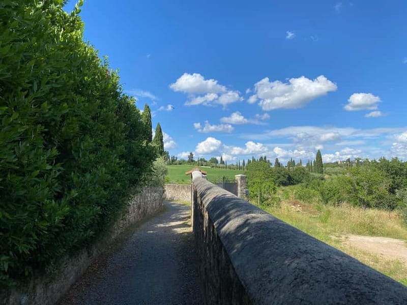 Premium Chianti E-Bike Tour, Food Wine Tasting + Photo shoot - Key points / Takeaways