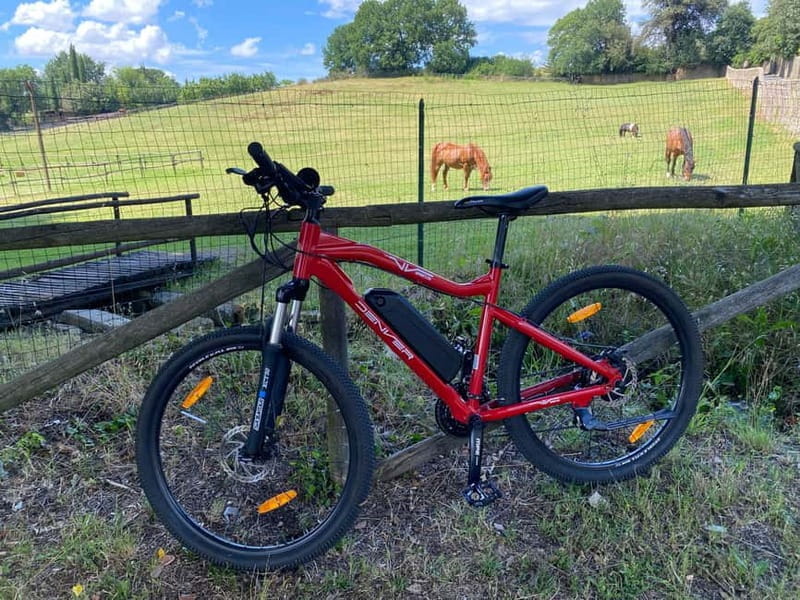 Premium Chianti E-Bike Tour, Food Wine Tasting + Photo shoot - Medieval Villages and Olive Groves