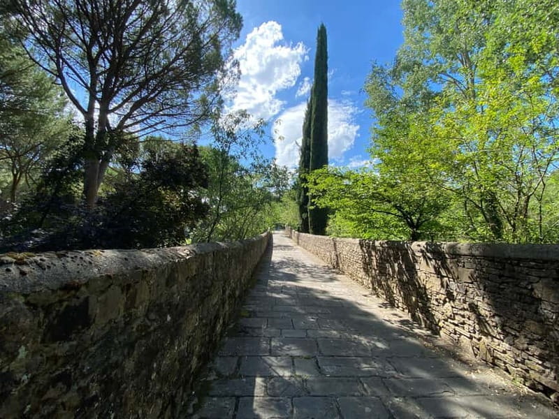 Premium Chianti E-Bike Tour, Food Wine Tasting + Photo shoot - Tuscan Farm Lunch and Local Encounters