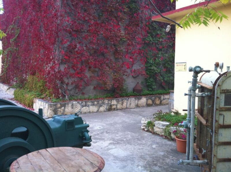 Premium Crete Olive oil tasting, Wine, Raki and Cretan food! - Final Thoughts