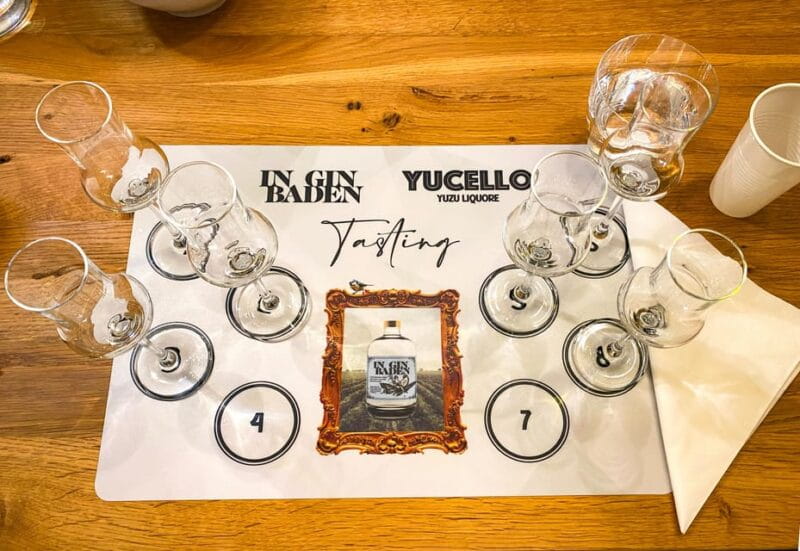 Premium gin tasting: production, variety and tasting - The Unique Setting of a Boutique Distillery in Baden