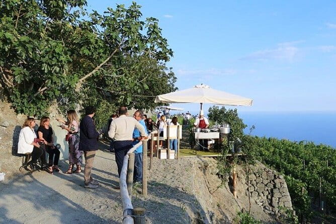 Premium Ischia Wine Tasting Experience with Transfer Included - The Vineyard Tour: Secrets of Ischia’s Grape Growing