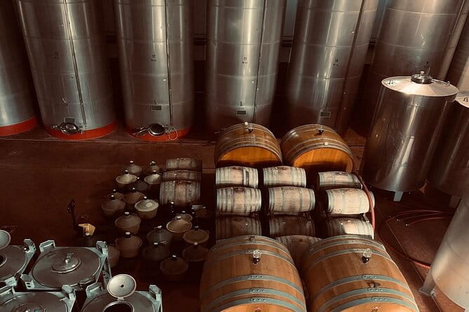 Premium Ischia Wine Tasting Experience with Transfer Included - Additional Highlights: Cellar Visit and Easy Convenience