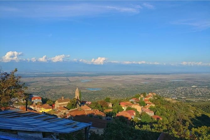 Premium & Organic Wine Tour in Kakheti - Scenic Gombori Pass and Return to Tbilisi