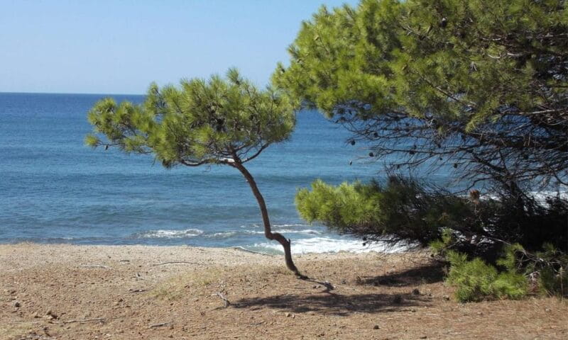 Premium Private Cruise from Castellabate: Cilento Coast - Key points / Takeaways