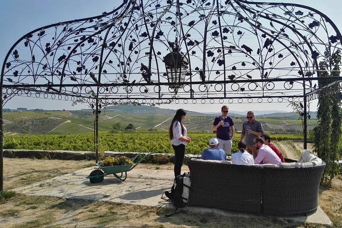 Premium Private Douro Tour: 3 Wineries with Tastings & Lunch - In-Depth Review of the Douro Private Tour Experience