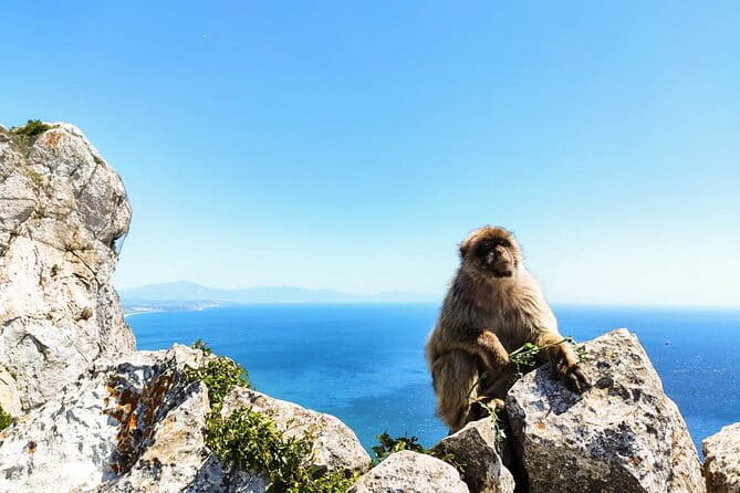 Premium private trip to Gibraltar from Seville (multiple options) - Who Should Consider This Tour?