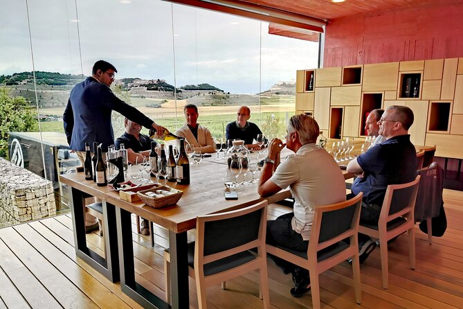 Premium Ribera Del Duero Tour With Winemaker-Guide - Winemaker-Guide Expertise